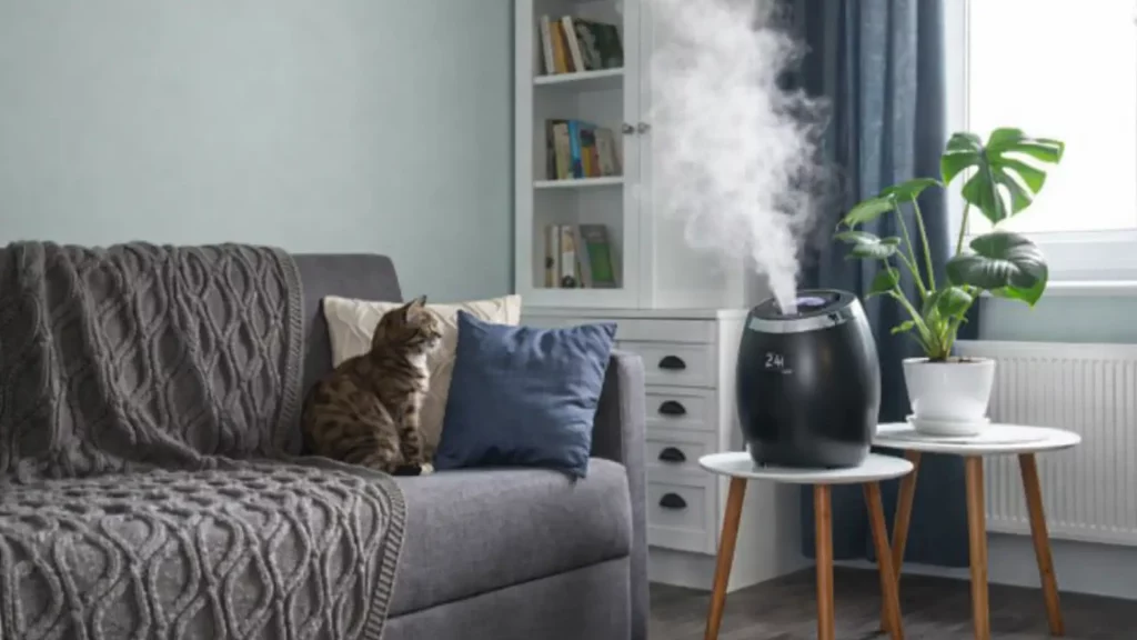 How Does a Humidifier Work in a Room